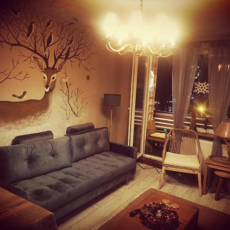 Exquisite 3 Room Apartment In The Heart Of Thetown Campulung Moldovenesc Exterior photo