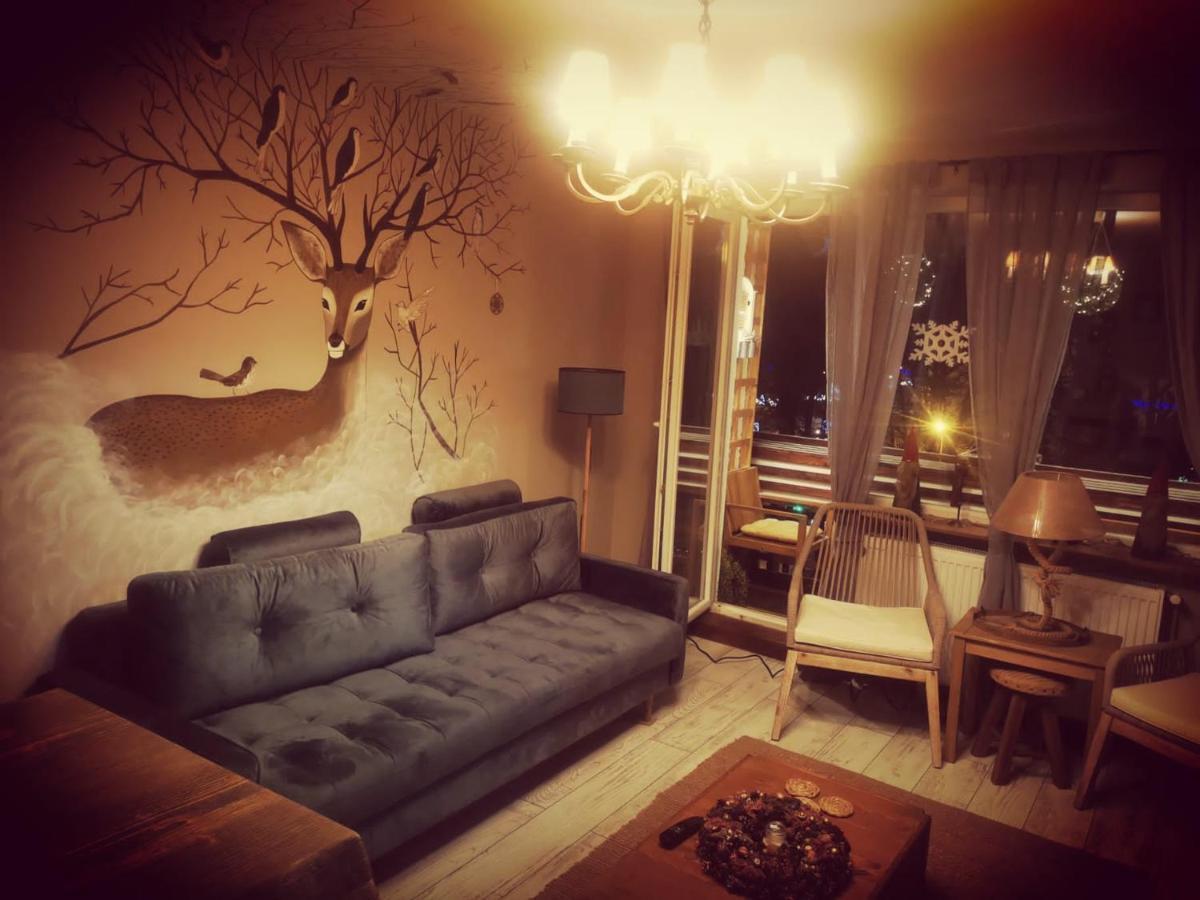Exquisite 3 Room Apartment In The Heart Of Thetown Campulung Moldovenesc Exterior photo